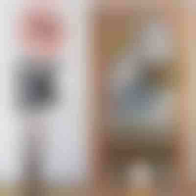 Mágneses szúnyogháló ajtóra | INSECTPROTECT