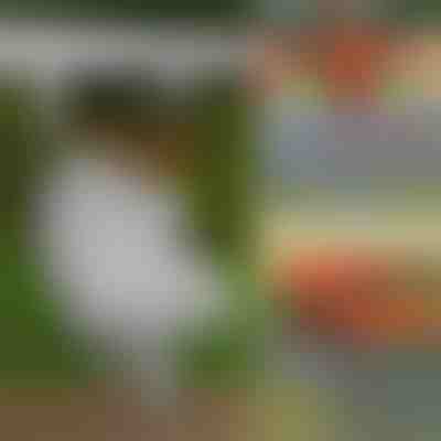 Kerti járdaszegély kő stílusban (10 db) | MINIFENCE