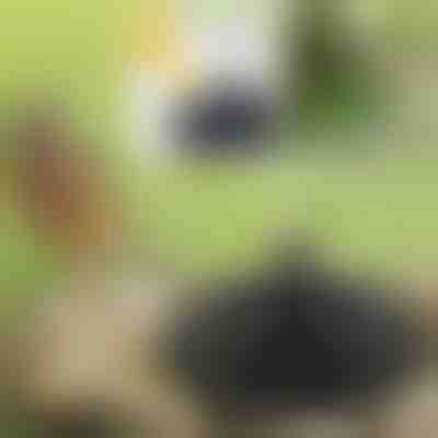 Napelemes szökőkút | FONTANA