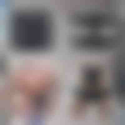 Zsírégető edző – Könnyen égesse a zsírt | SIXPACK