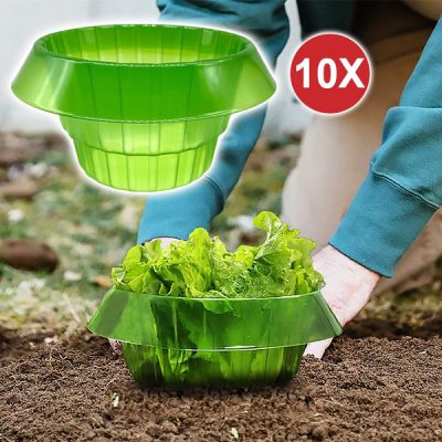 Védelmi eszköz saláta és más növények számára (10 darab) | VEGISHIELD