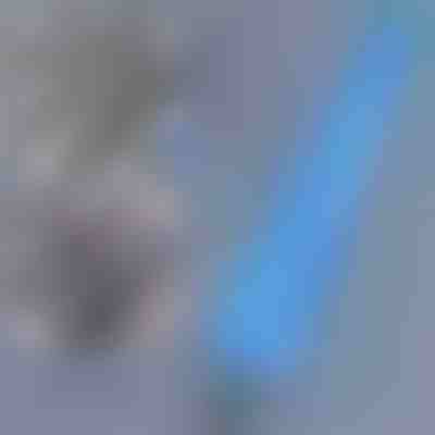 Hosszú elérhetőségű porolókefe | DUSTOFF