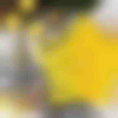 Csillag alakú sütivágók (6db) | STARCUTS