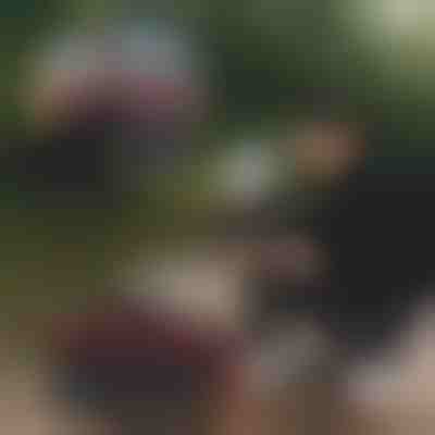 Összecsukható horgászvödör | RIBETINA