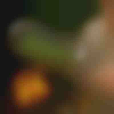 Forgó grillsütő | ROLOGRILL