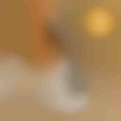 Hajlítás nélküli cipősegítő | SHOEVA