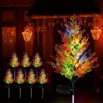 CUPRESSUS
