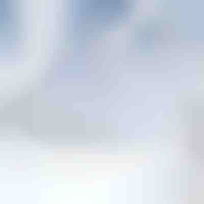 Mágneses szélvédőhóvédő takaró | FROSTCOVER